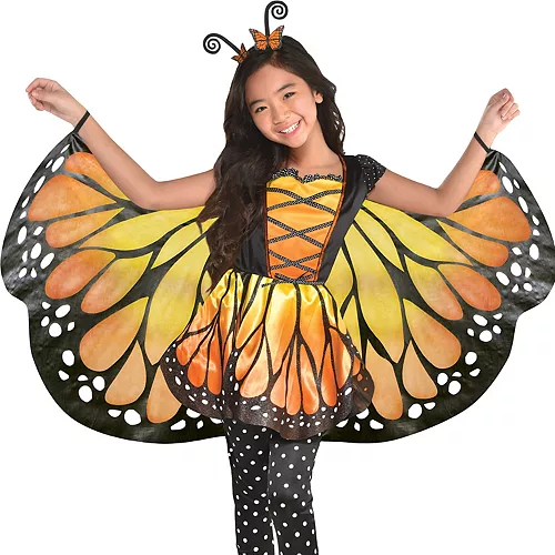 Butterfly Costume