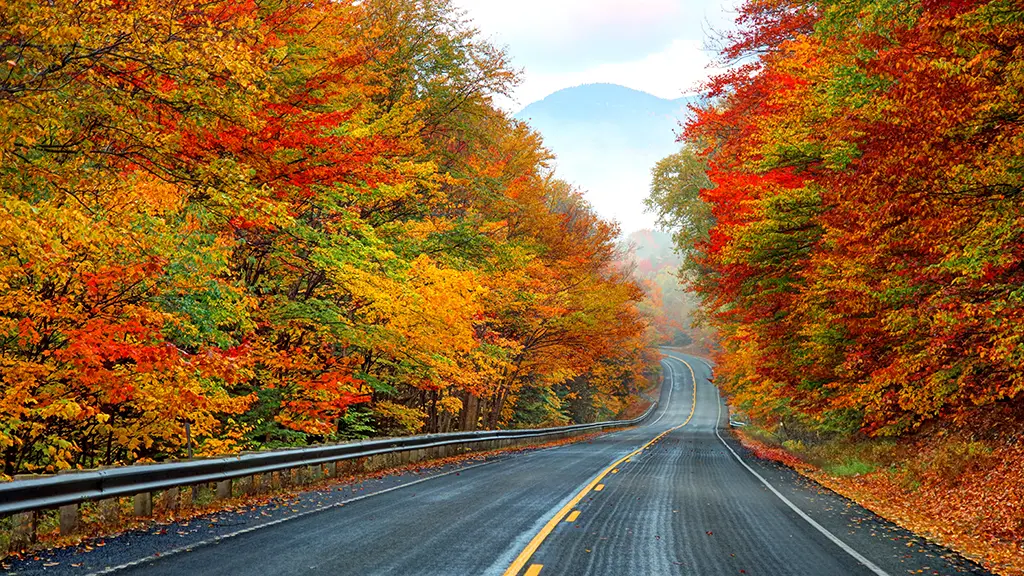 Top 8 Places in New Hampshire for Fall Save Dollar