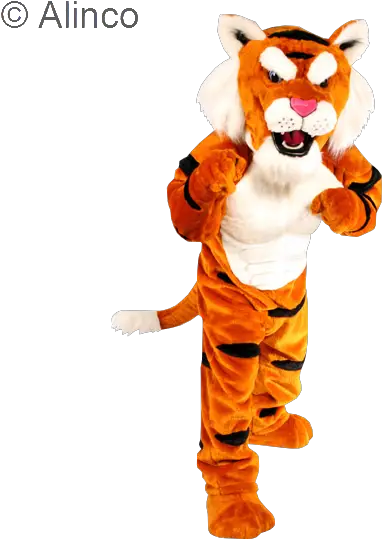 Halloween Costume - Tiger