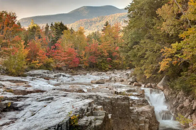 WHITE MOUNTAIN NATIONAL FOREST