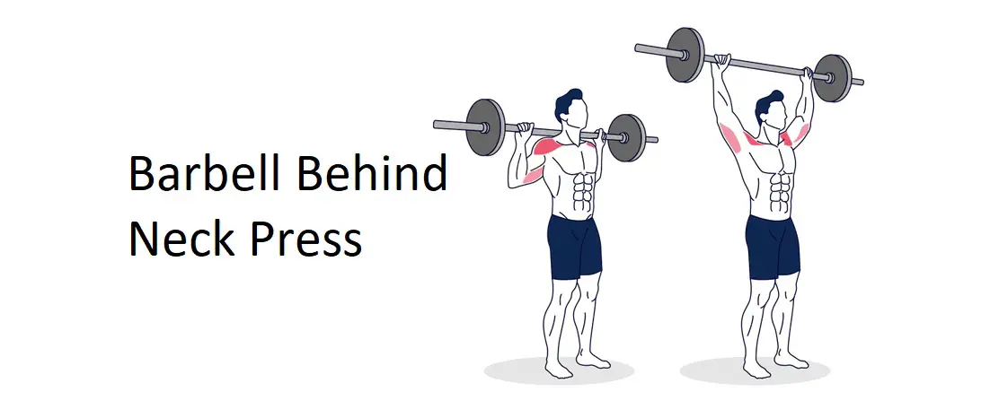 Barbell Behind Neck Press: A Complete Guide to Technique, Benefits, Alternatives, and More