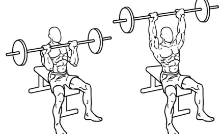 Barbell Seated Military Press