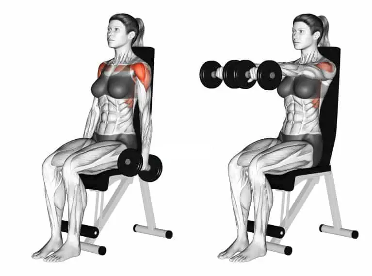 Dumbbell Full Can Seated Front Raise