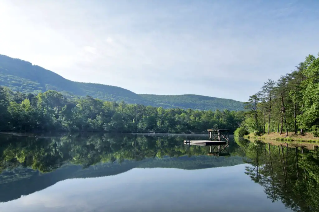 Talladega National Forest