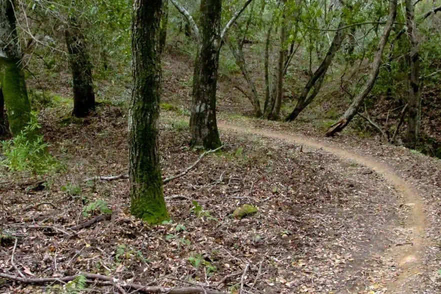 Bike Trail in Coldwater Mountain Anniston