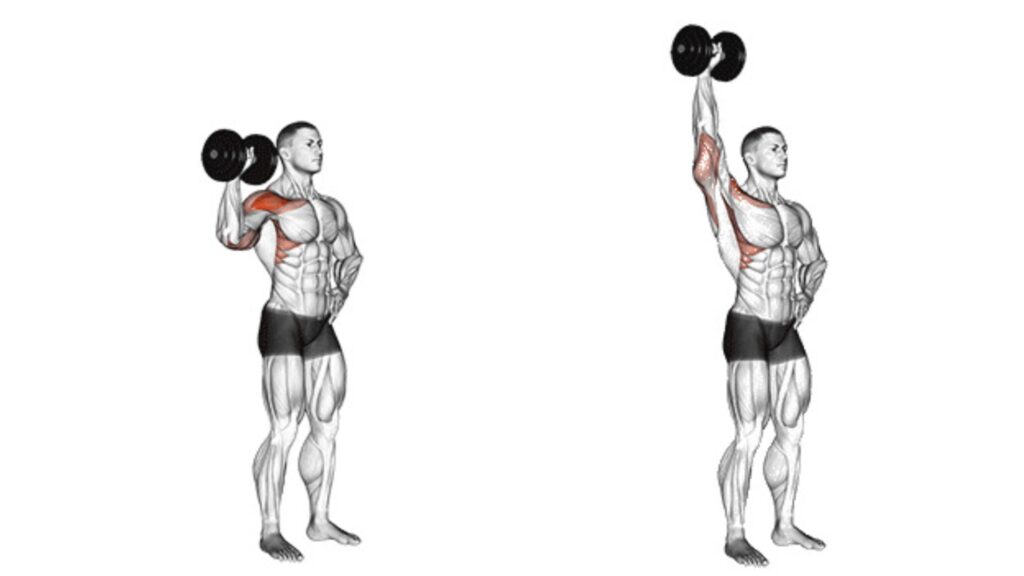 Dumbbell One Arm Shoulder Press