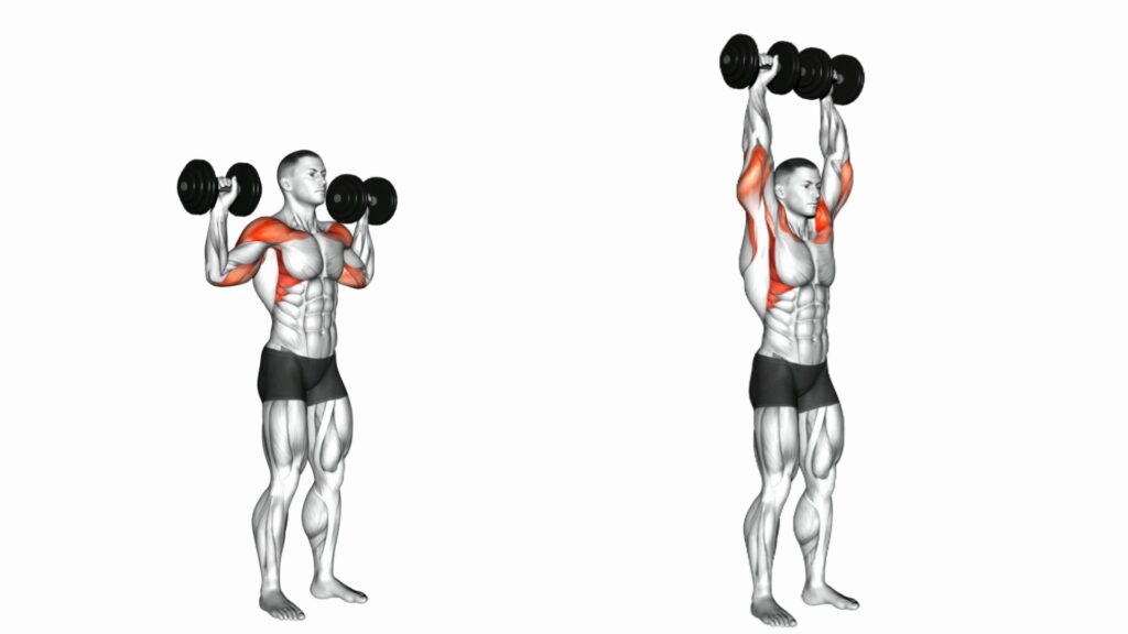 Dumbbell Shoulder Press