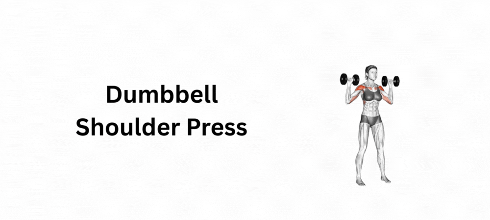Dumbbell Shoulder Press