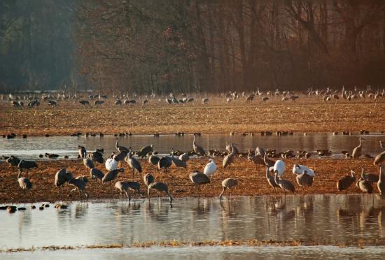 Wheeler National Wildlife Refuge