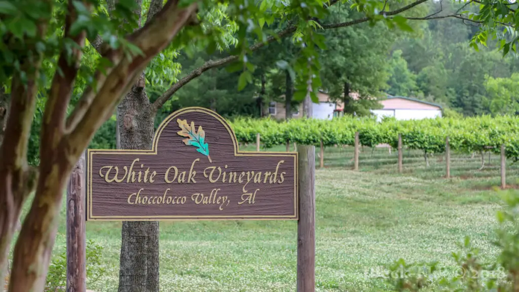 White Oak Vineyards Anniston
