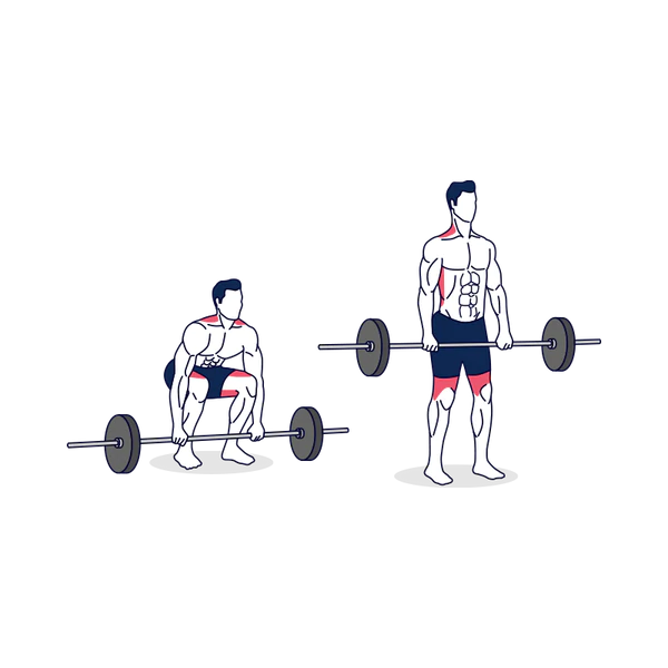 Barbell Deadlift