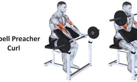 Barbell Preacher Curl: Technique, Benefits, Variations, and More Explained