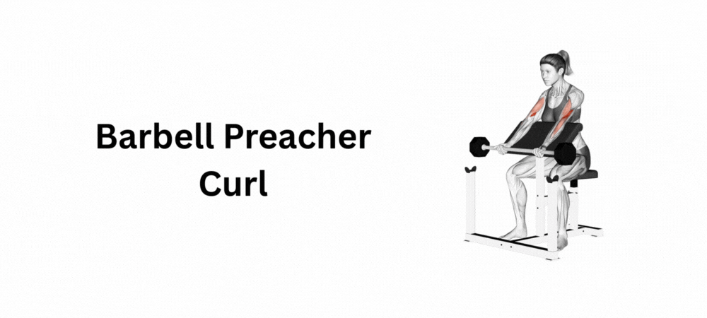 Barbell Preacher Curl: Proper Technique, Muscles Worked, Benefits & Variations
