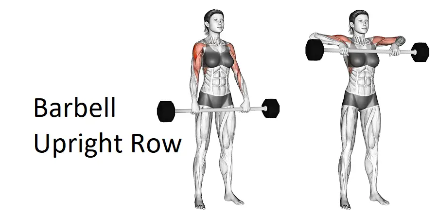 Barbell Upright Row: A Complete Guide to Technique, Benefits, Alternatives, and More