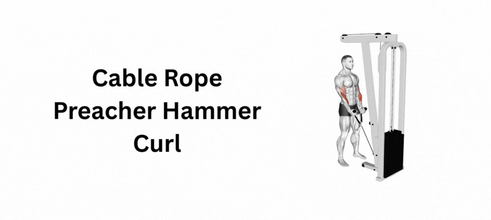Cable Rope Preacher Hammer Curl