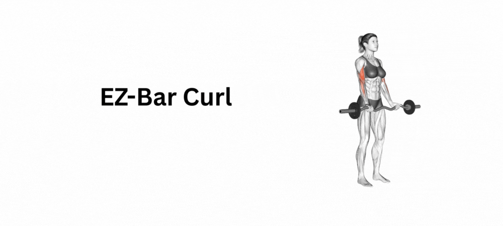 EZ-Bar Curl