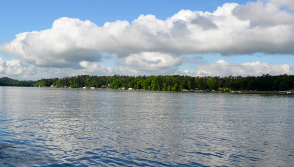 Higgins Ferry Park