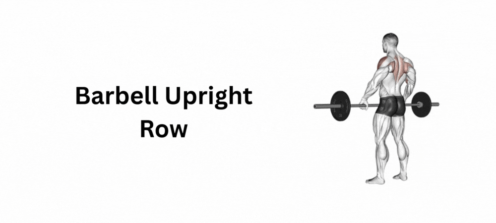 barbell upright row