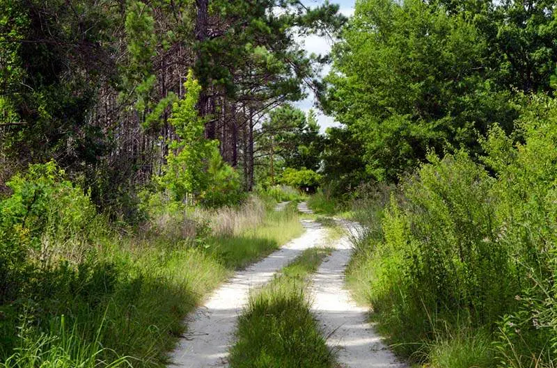 Eufaula National Wildlife Refuge