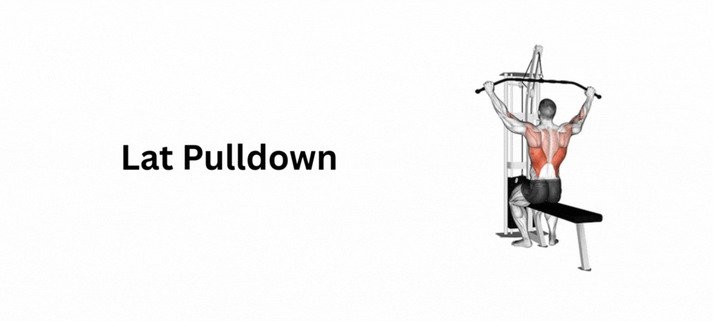 Lat Pulldown