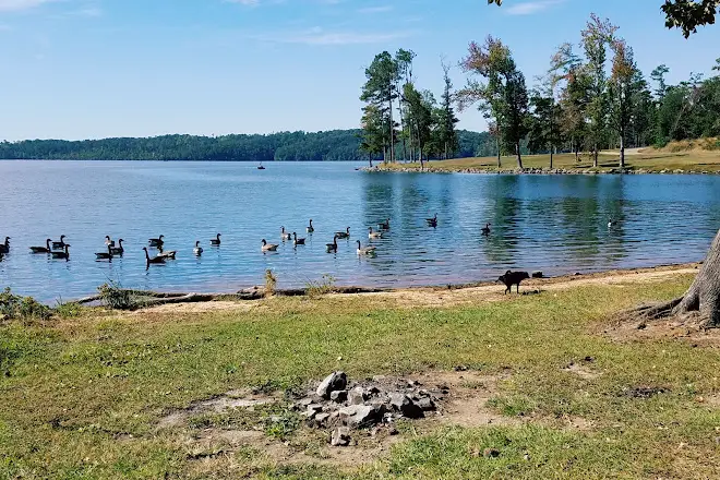 Town Creek Fishing Center