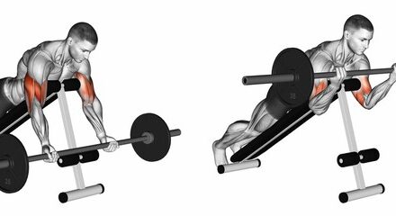 Barbell Curls Lying Against An Incline