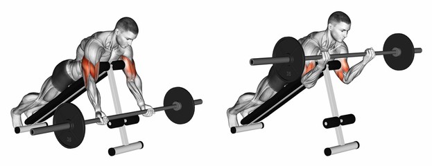 barbell curls lying against an incline