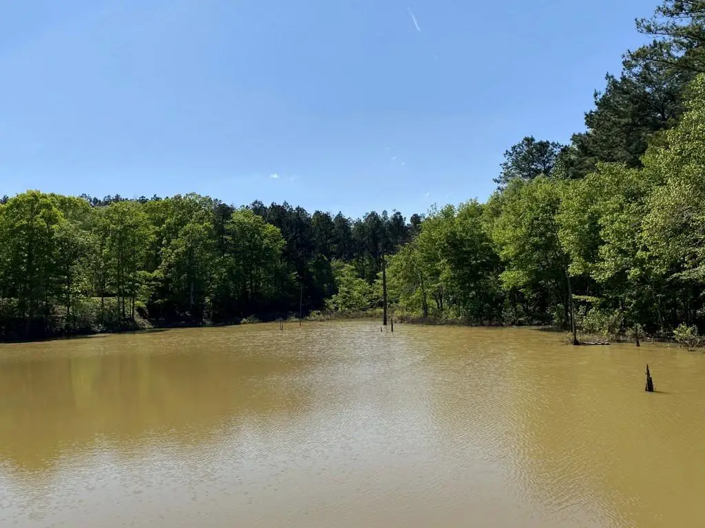 Walker County Lake