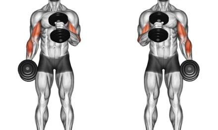 Alternate Hammer Curl