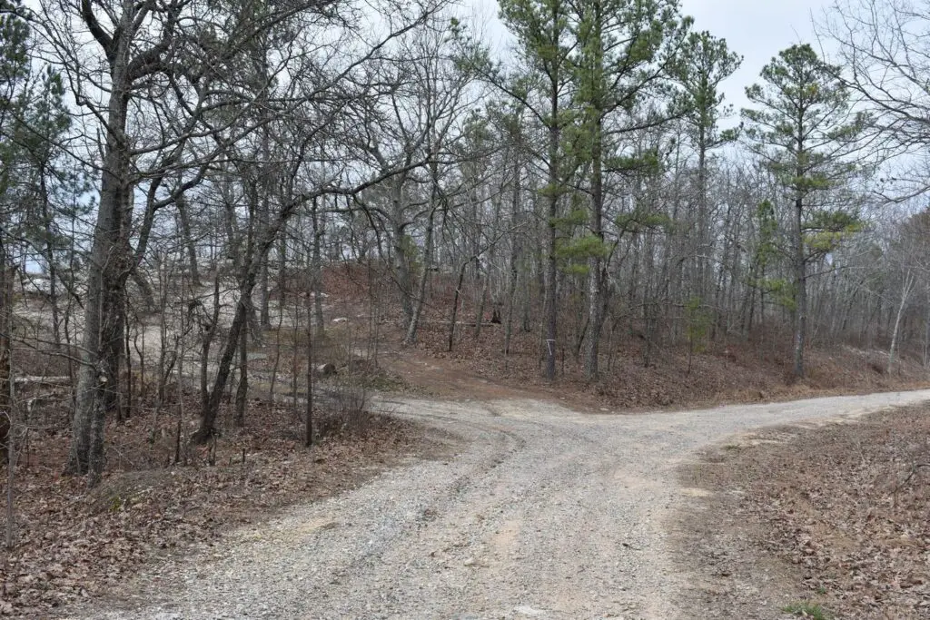 Talladega National Forest