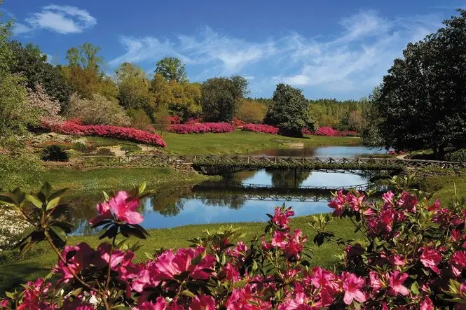 Arboretum's blooms