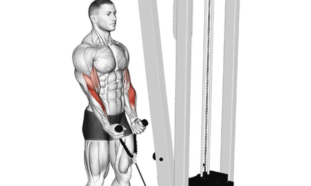 Cable Rope Hammer Curl