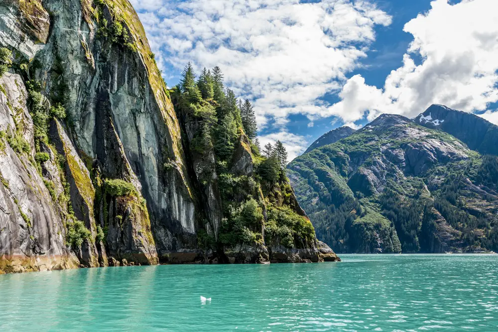 Charter a Ride to Tracy Arm Fjord