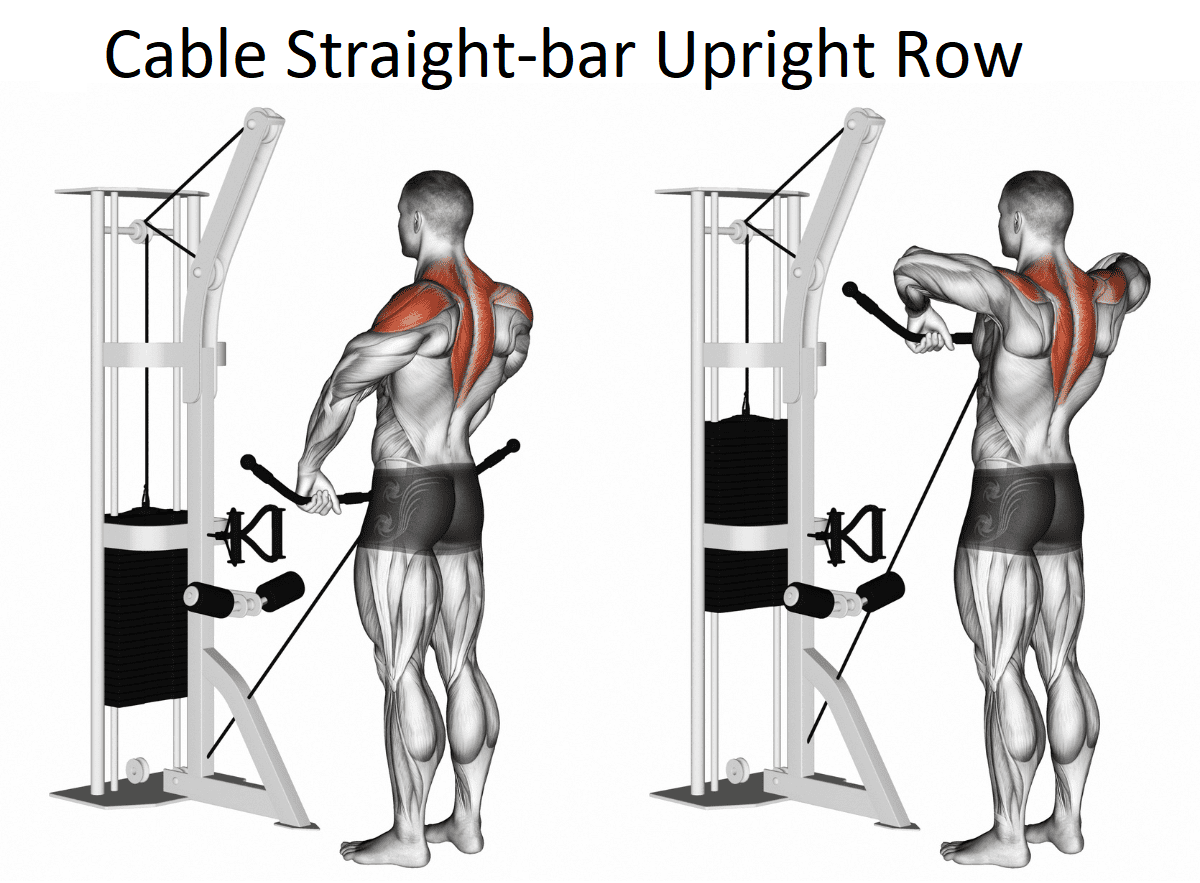 Cable Straight-bar Upright Row