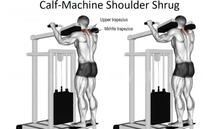 Calf-Machine Shoulder Shrug
