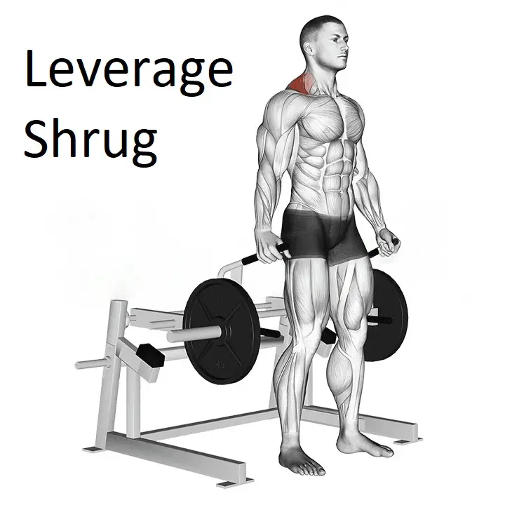 Leverage Shrug