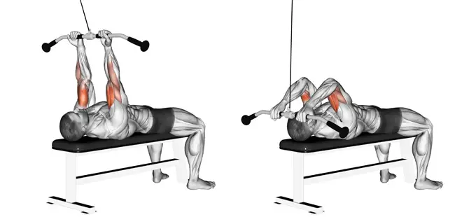 Lying Cable Biceps Curl