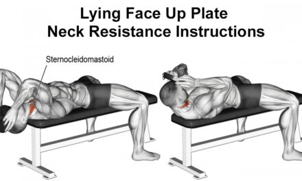 Lying Face Up Plate Neck Resistance