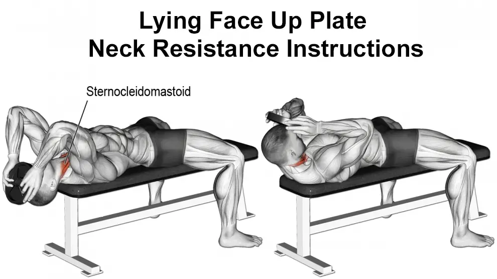 Lying Face Up Plate Neck Resistance Instructions