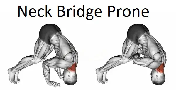 Neck Bridge Prone