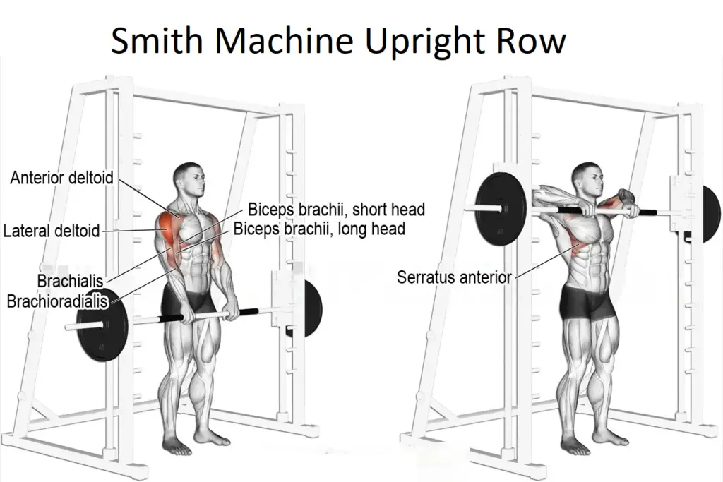 Smith Machine Upright Row