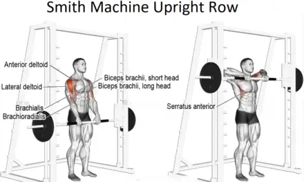 Smith Machine Upright Row