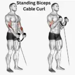 Standing Biceps Cable Curl