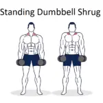 Standing Dumbbell Shrug