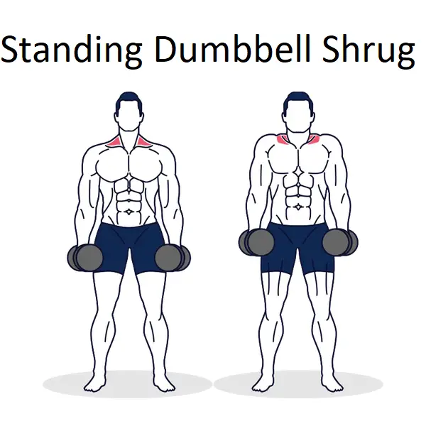 Standing Dumbbell Shrug