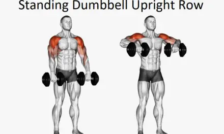 Standing Dumbbell Upright Row