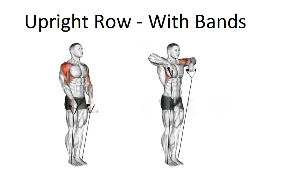 Upright Row - With Bands