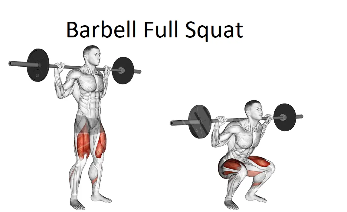 Barbell Full Squat