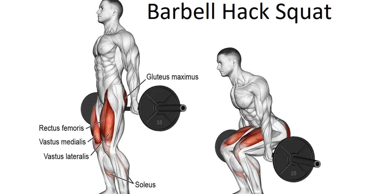 Barbell Hack Squat