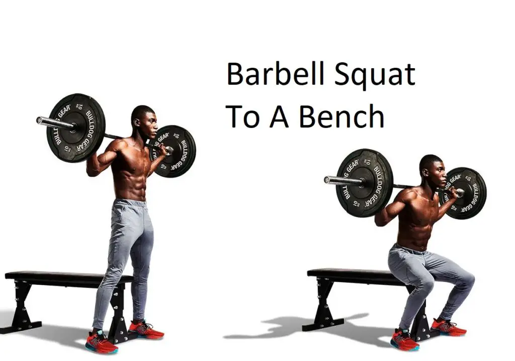 Barbell Squat To A Bench